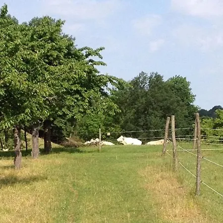 Ferien Am Roten Haus 부코브