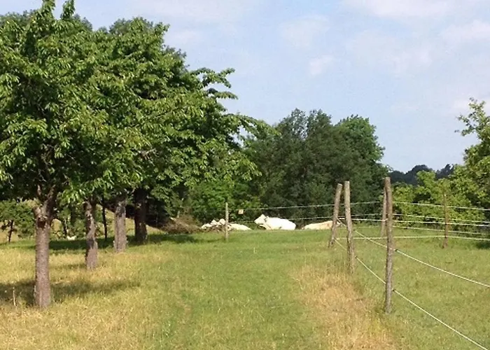 Ferien Am Roten Haus باكو